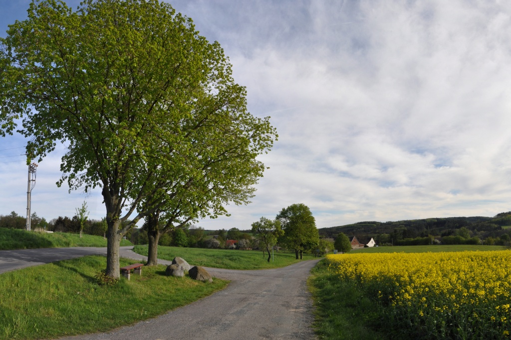 DSC_0006.jpg
