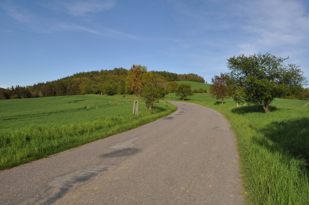 DSC_0016.jpg