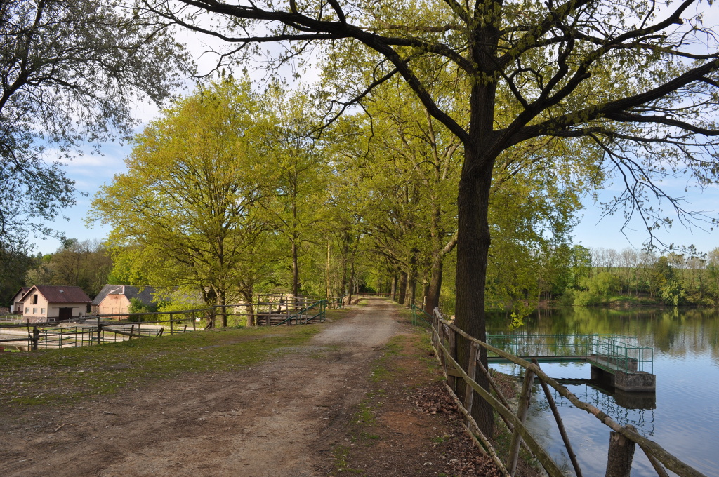 DSC_0025.jpg