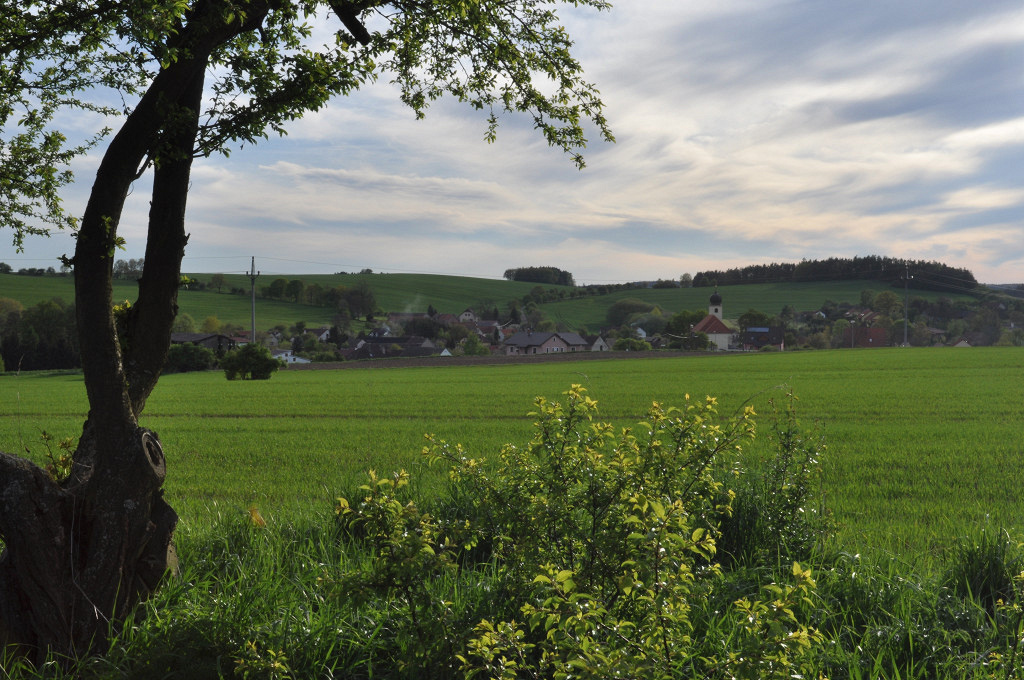 DSC_0035.jpg