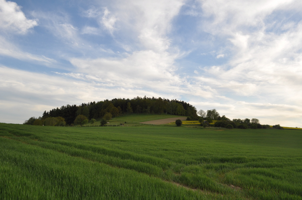 DSC_0038.jpg