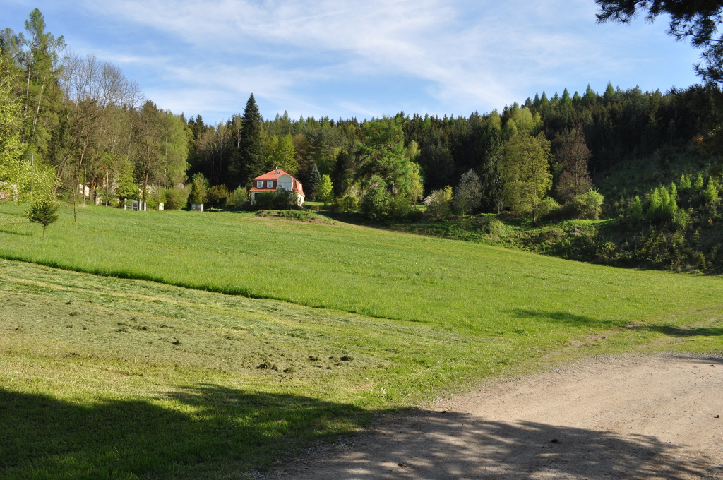 DSC_1804.jpg