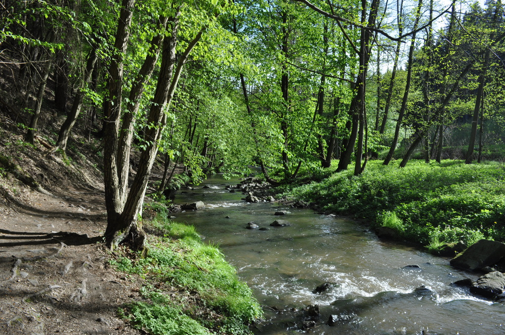 DSC_1812.jpg