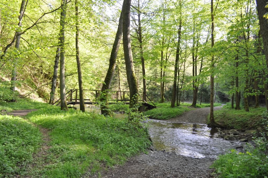 DSC_1815.jpg