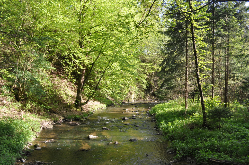DSC_1817.jpg