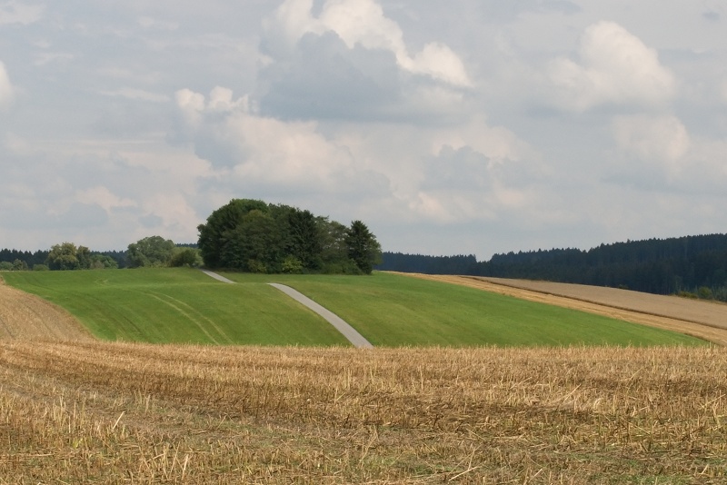 DSC_0717.jpg