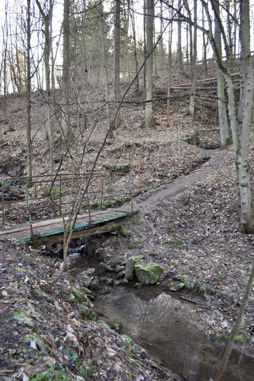 DSC_0822.jpg