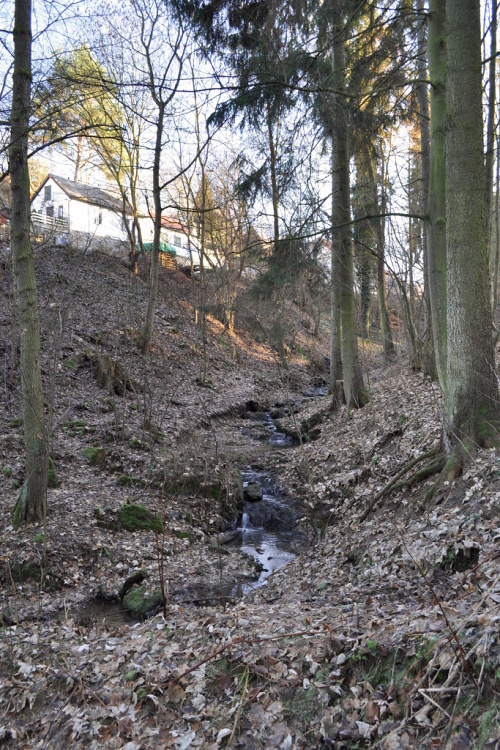 DSC_0829.jpg