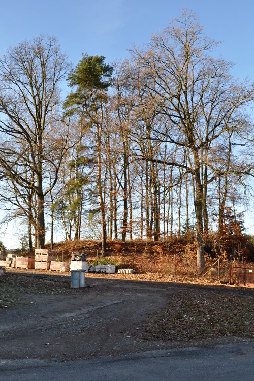 DSC_0841.jpg
