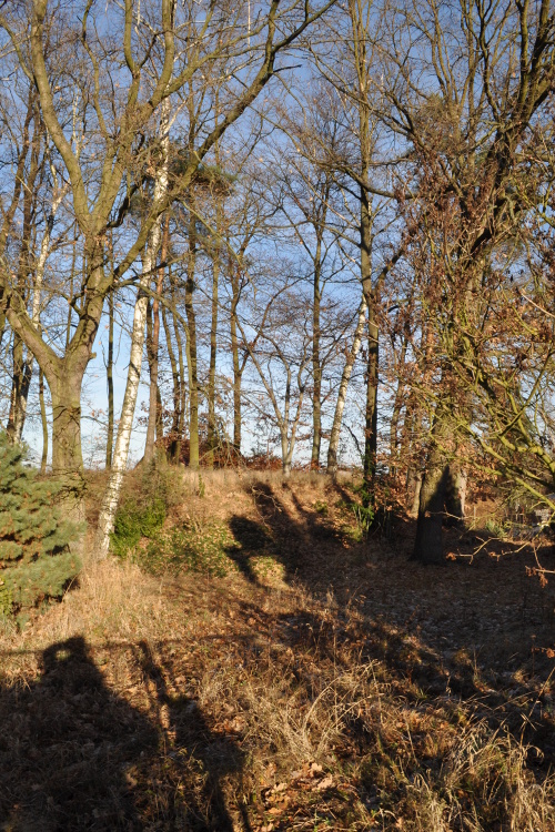 DSC_0843.jpg