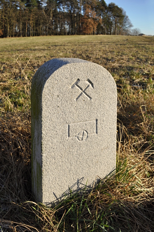 DSC_0860.jpg