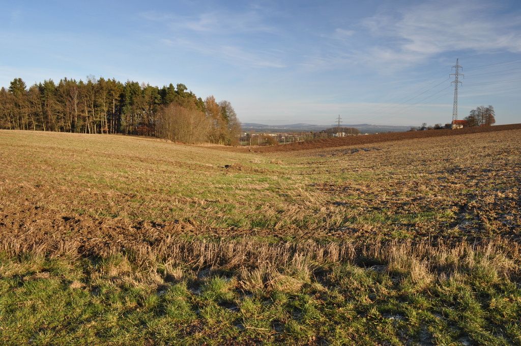 DSC_0870.jpg