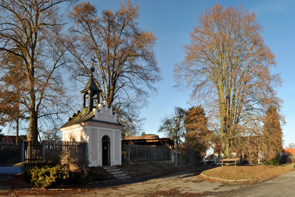DSC_0910.jpg