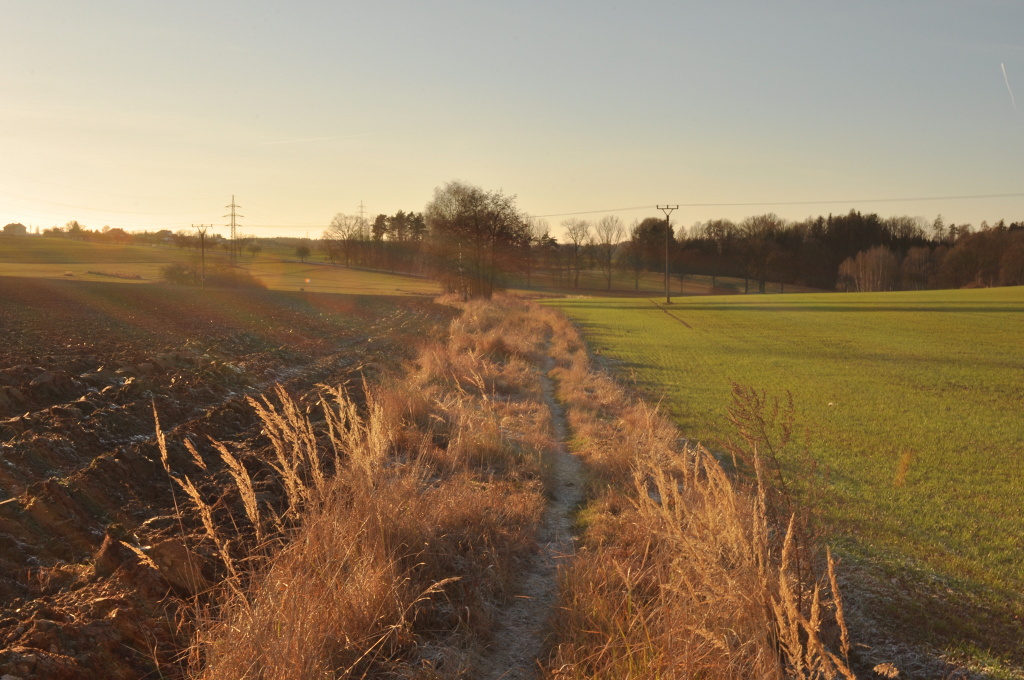 DSC_0950.jpg