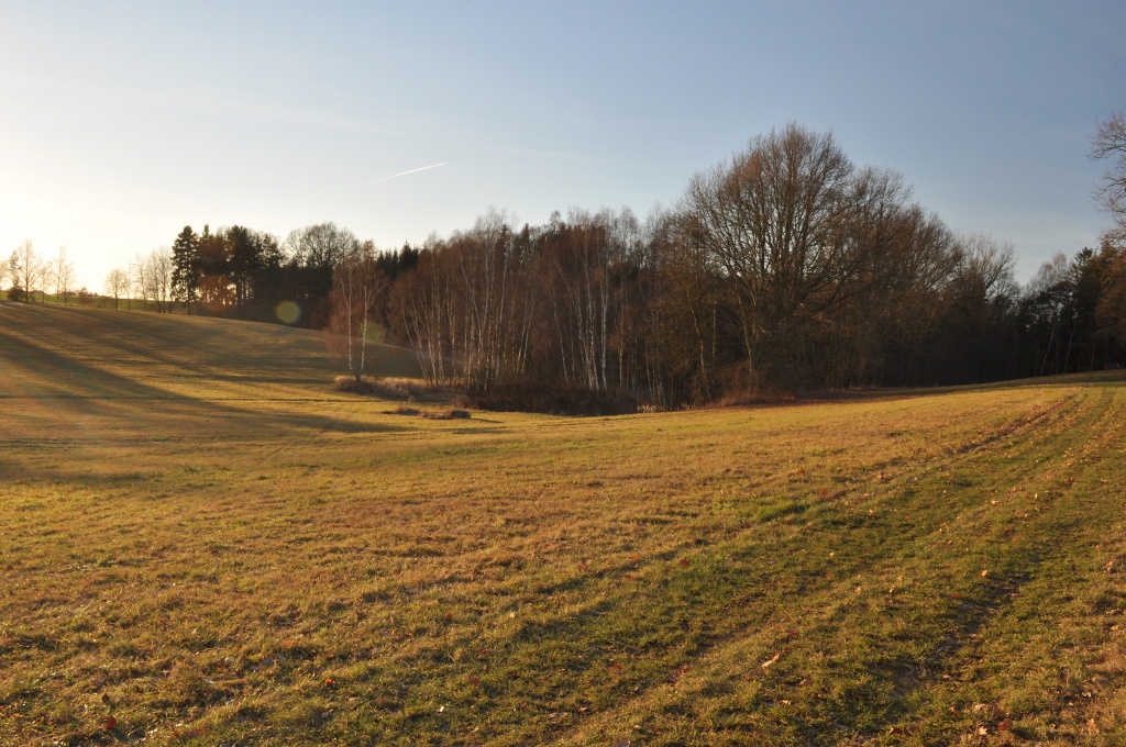 DSC_0957.jpg
