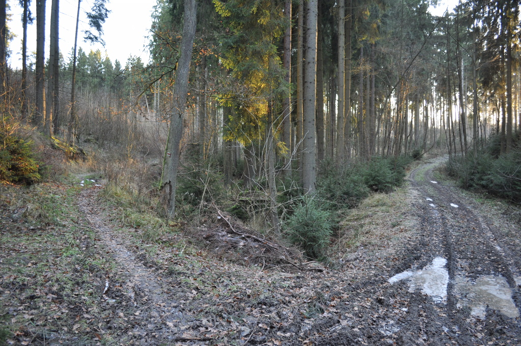 DSC_0959.jpg