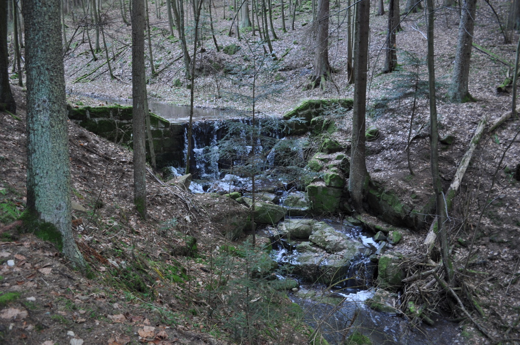 DSC_0973.jpg