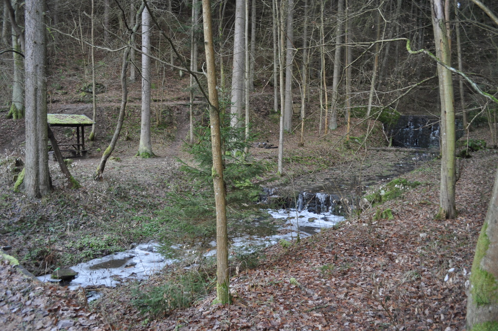 DSC_0985.jpg