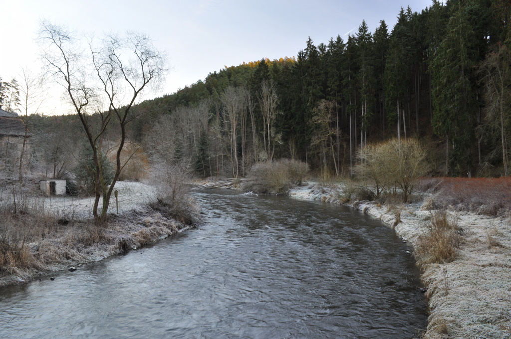DSC_1002.jpg