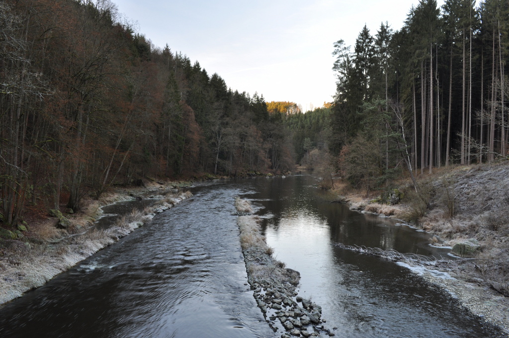 DSC_1003.jpg