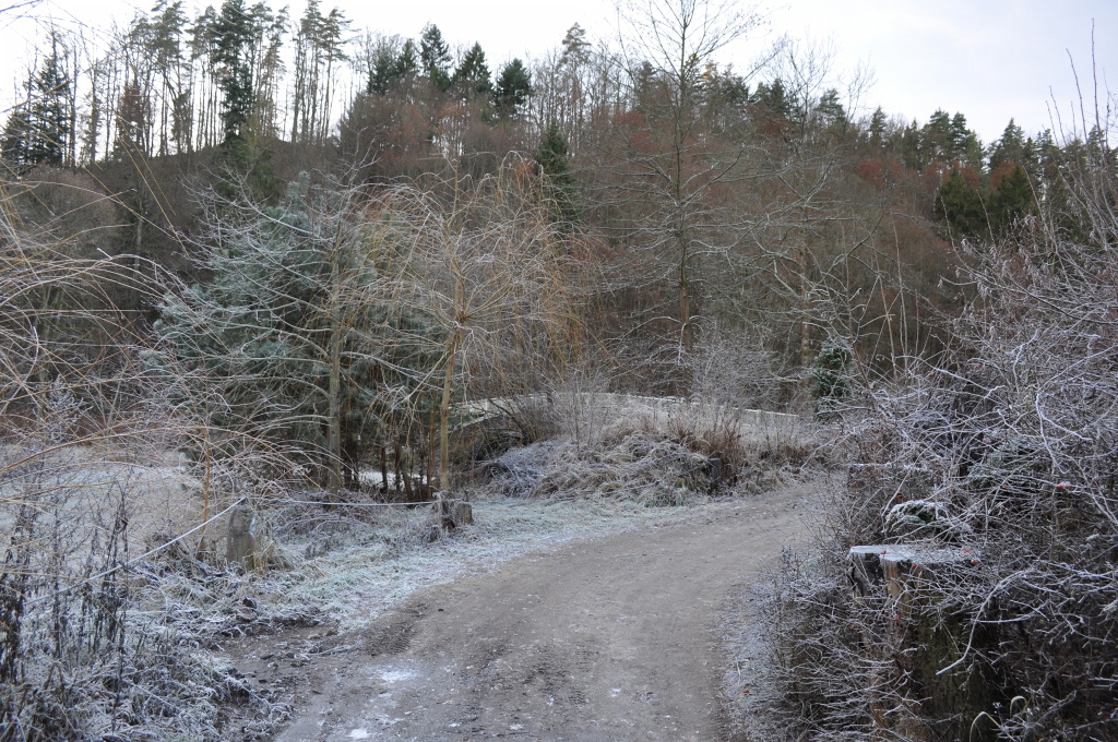 DSC_1007.jpg