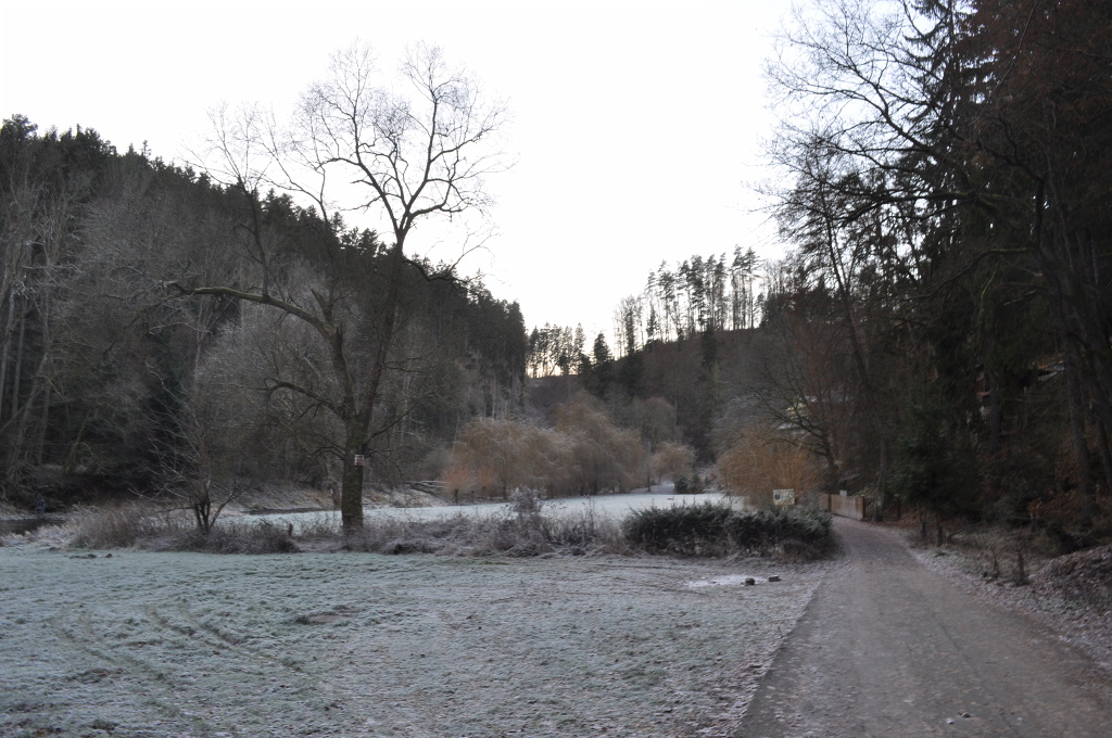 DSC_1009.jpg