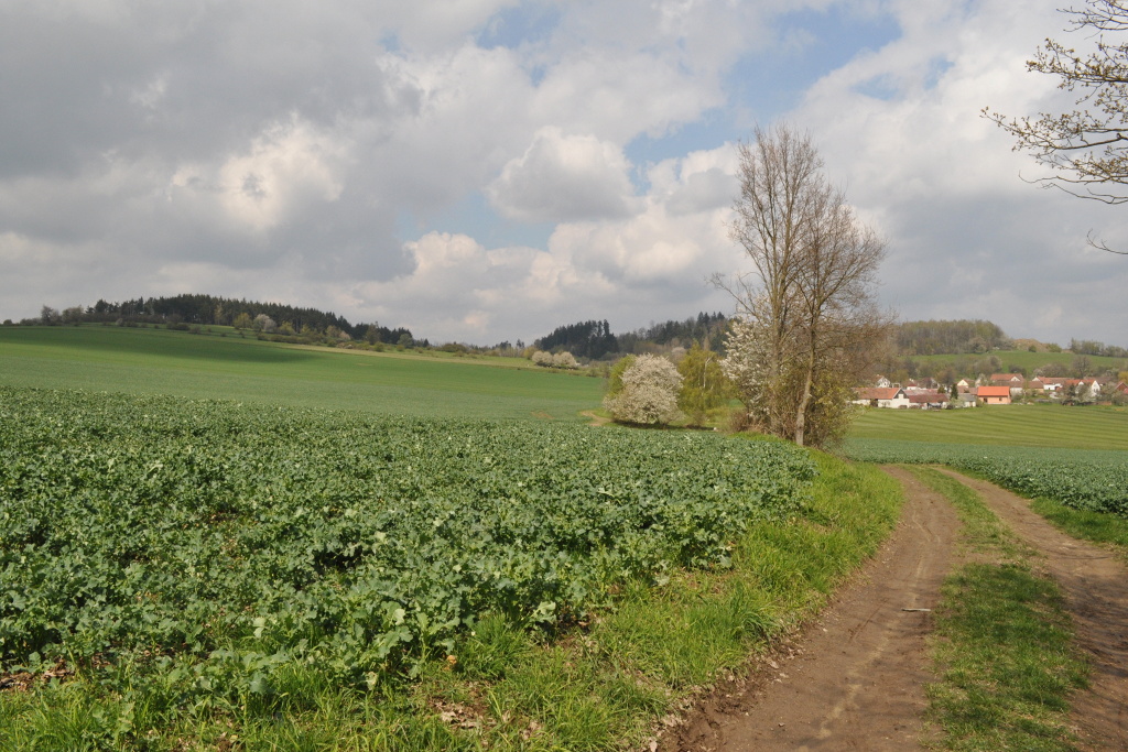 DSC_1271.jpg