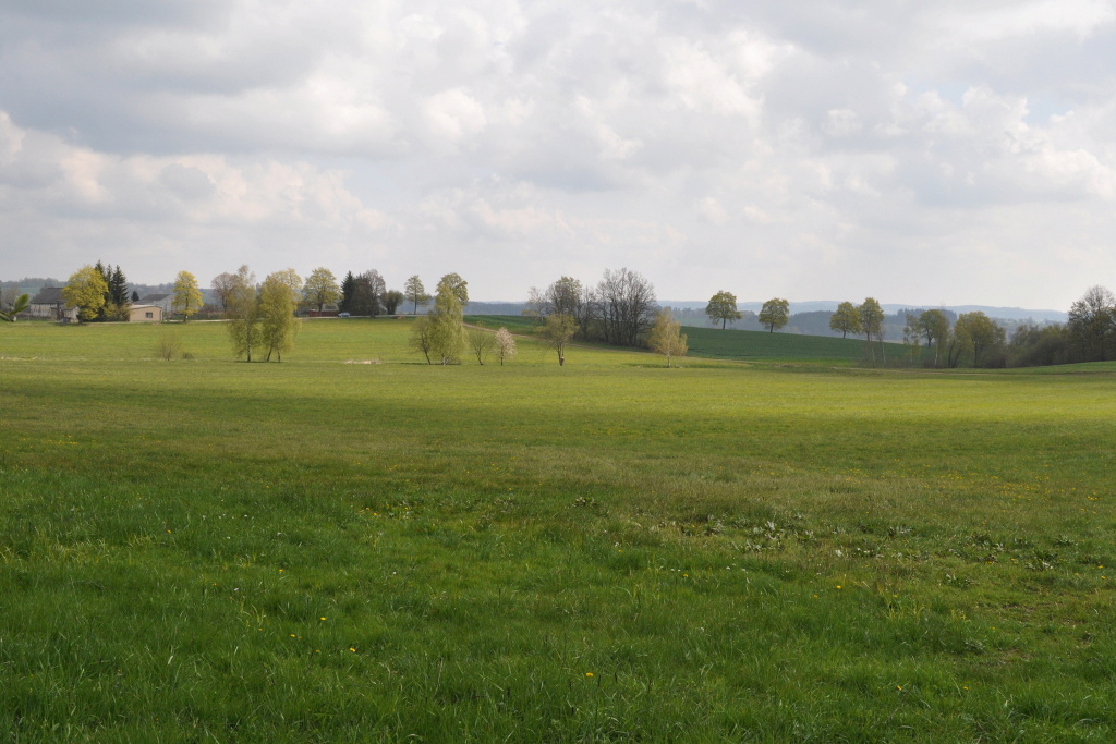 DSC_1273.jpg