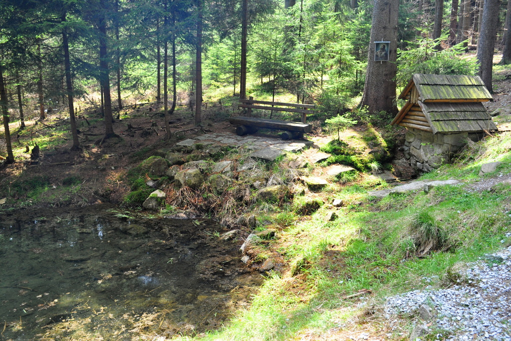 DSC_1289.jpg