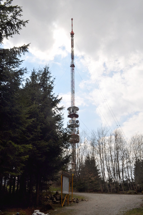 DSC_1296.jpg
