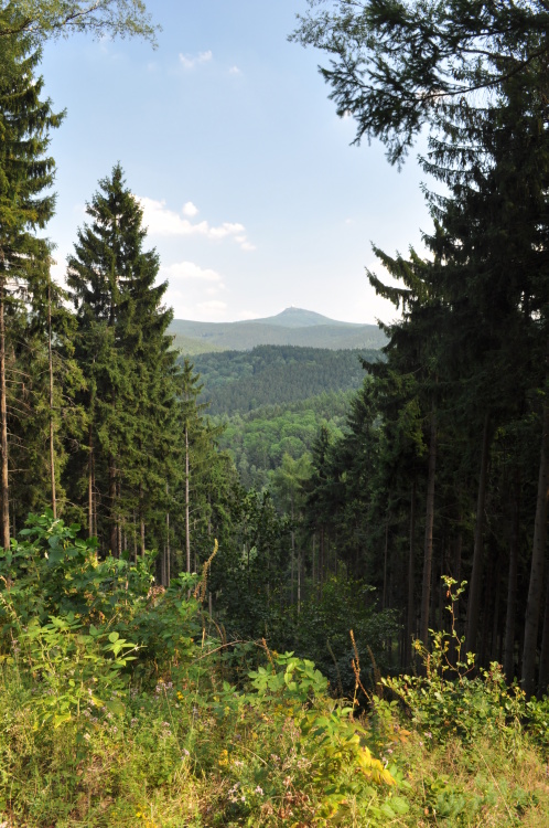 DSC_0003.jpg