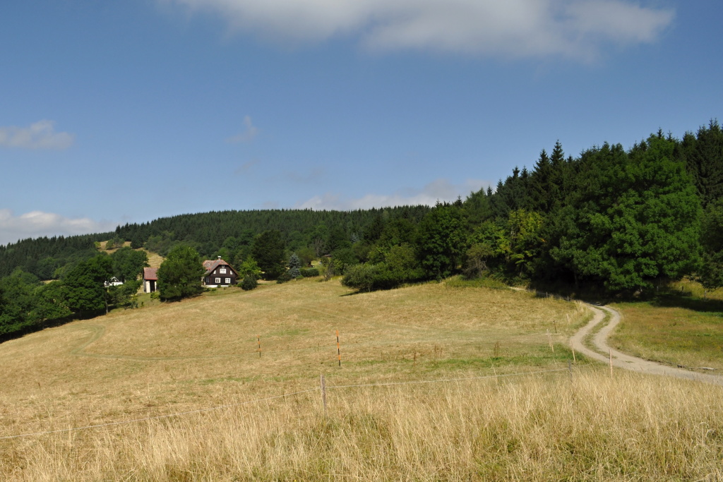 DSC_0168.jpg