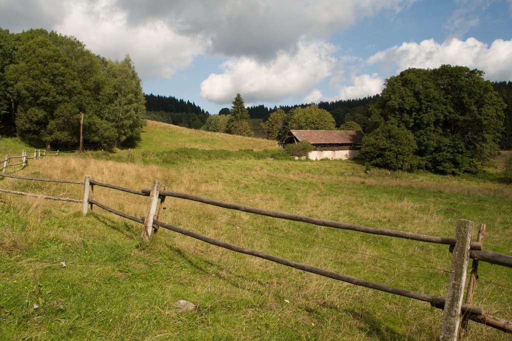 DSC_1064.jpg