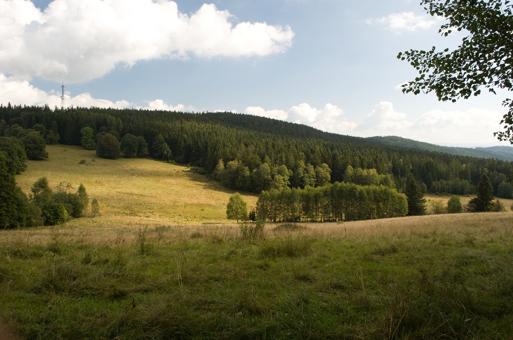 DSC_1066.jpg