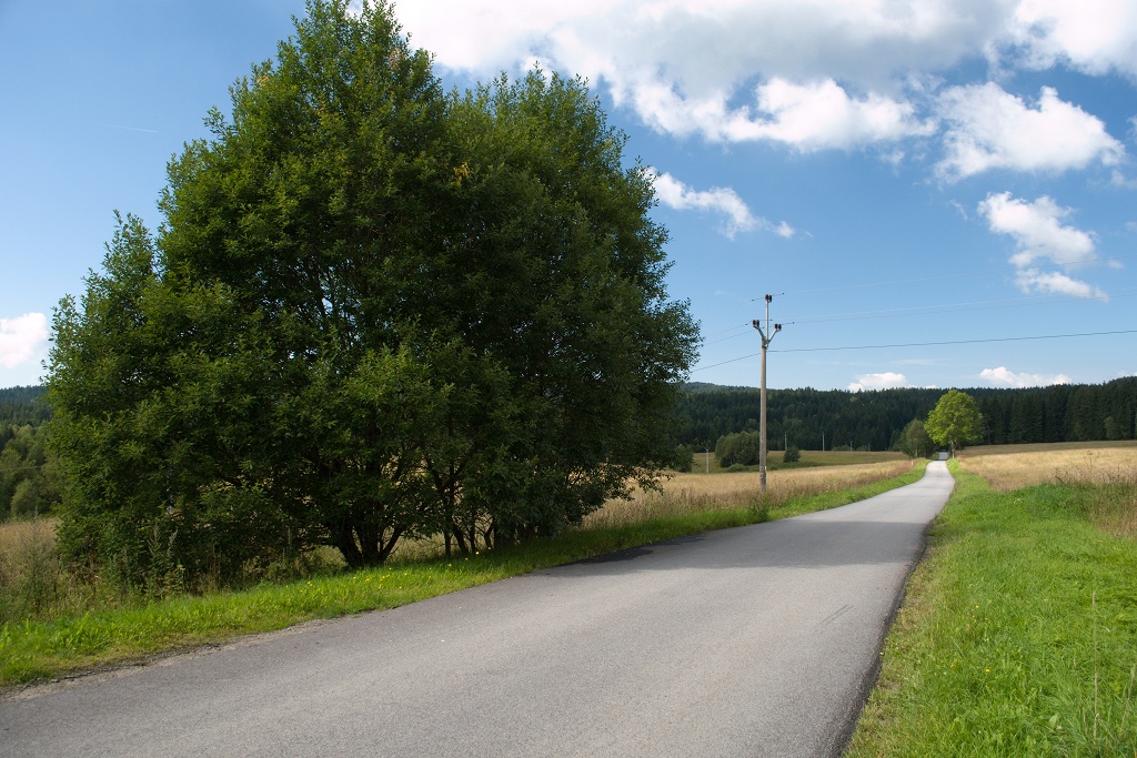 DSC_1076.jpg