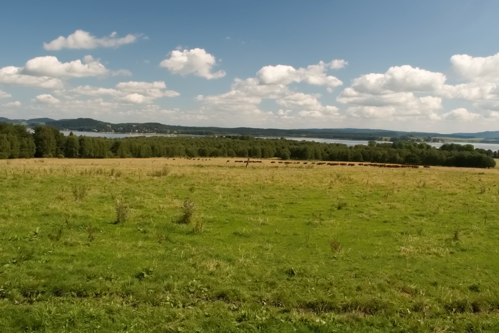 DSC_1139.jpg