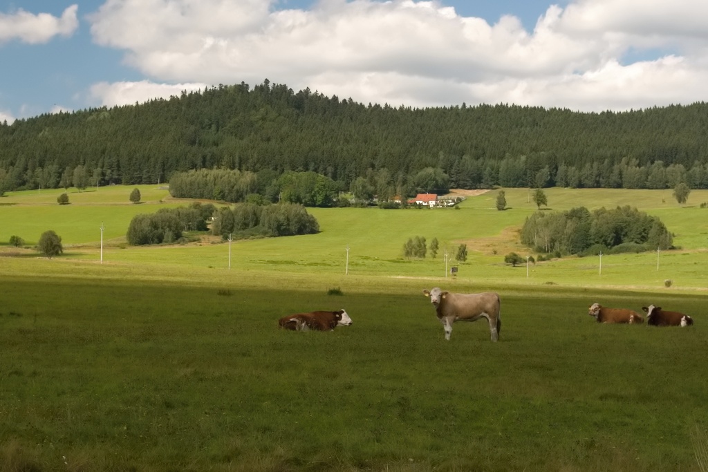 DSC_1164.jpg