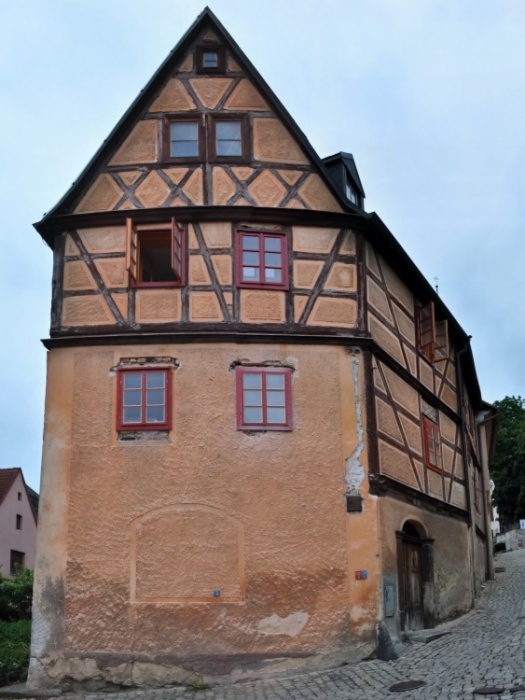 DSC_0113.jpg