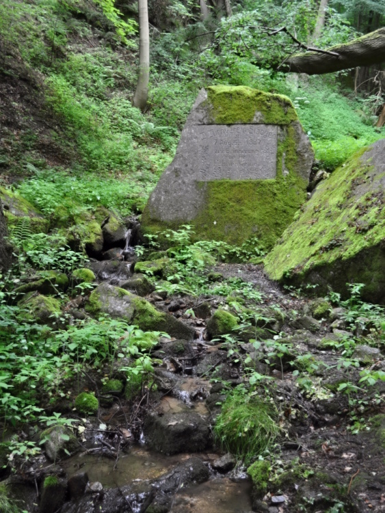 DSC_0225.jpg