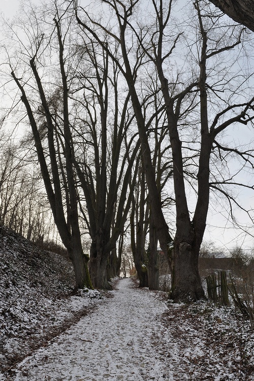 DSC_0572.jpg
