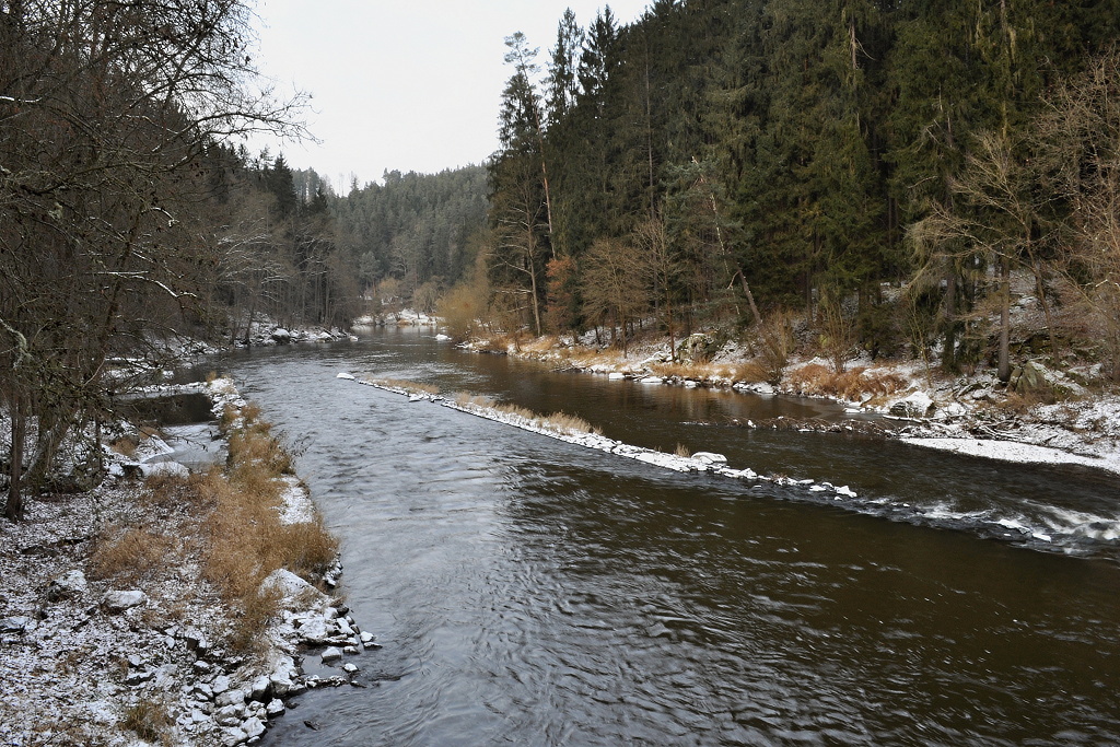 DSC_0595.jpg