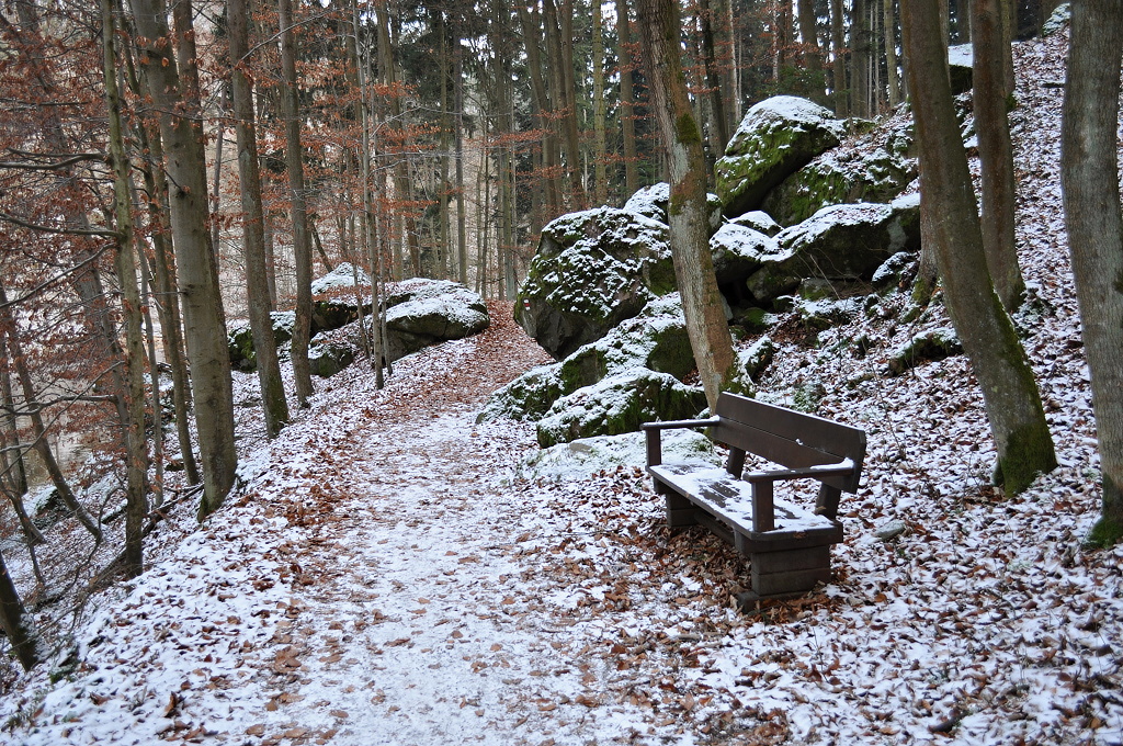 DSC_0620.jpg