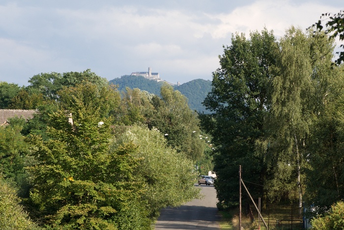 DSC_0882.jpg