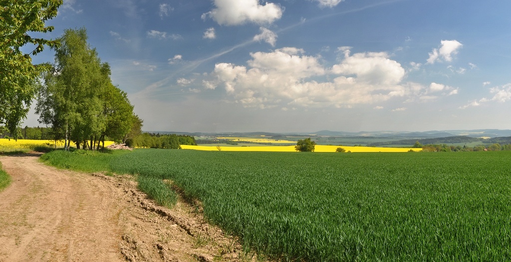 DSC_0023_panorama.jpg