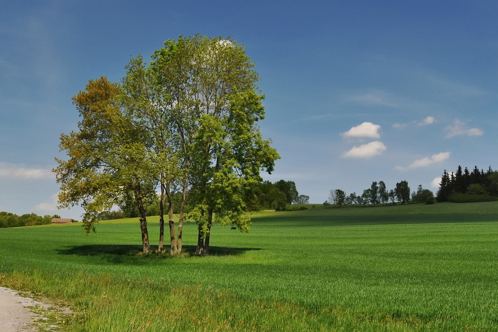 DSC_0071.jpg