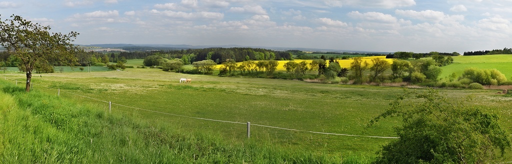 DSC_0123_panorama.jpg