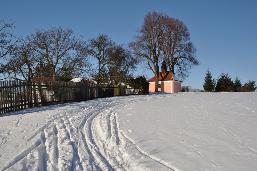 DSC_0016.jpg