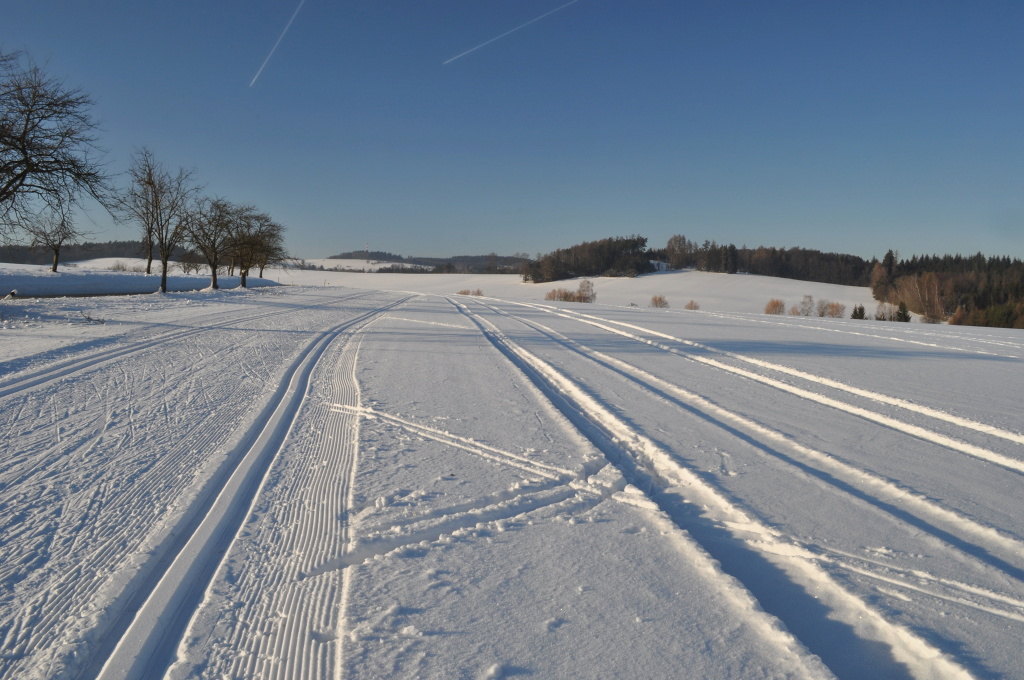 DSC_0040.jpg