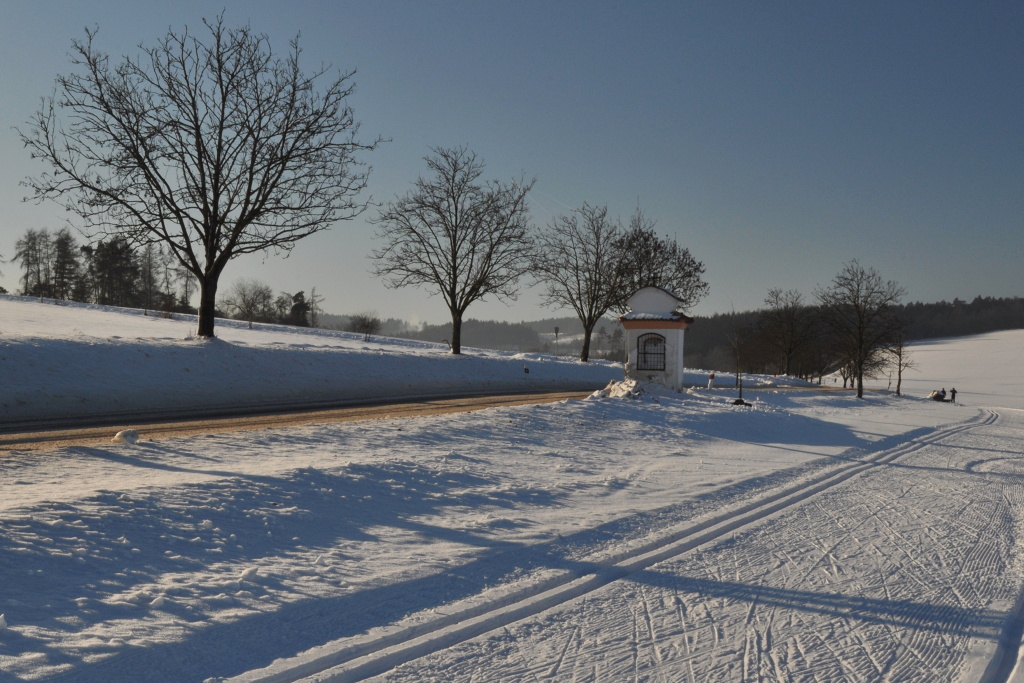 DSC_0042.jpg