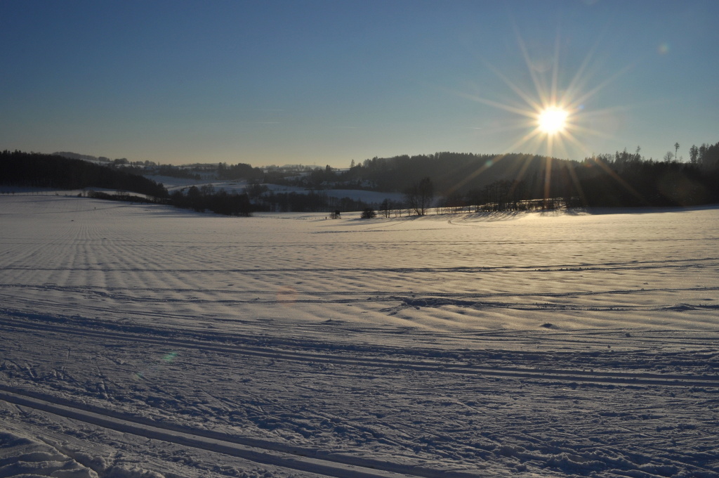 DSC_0053.jpg